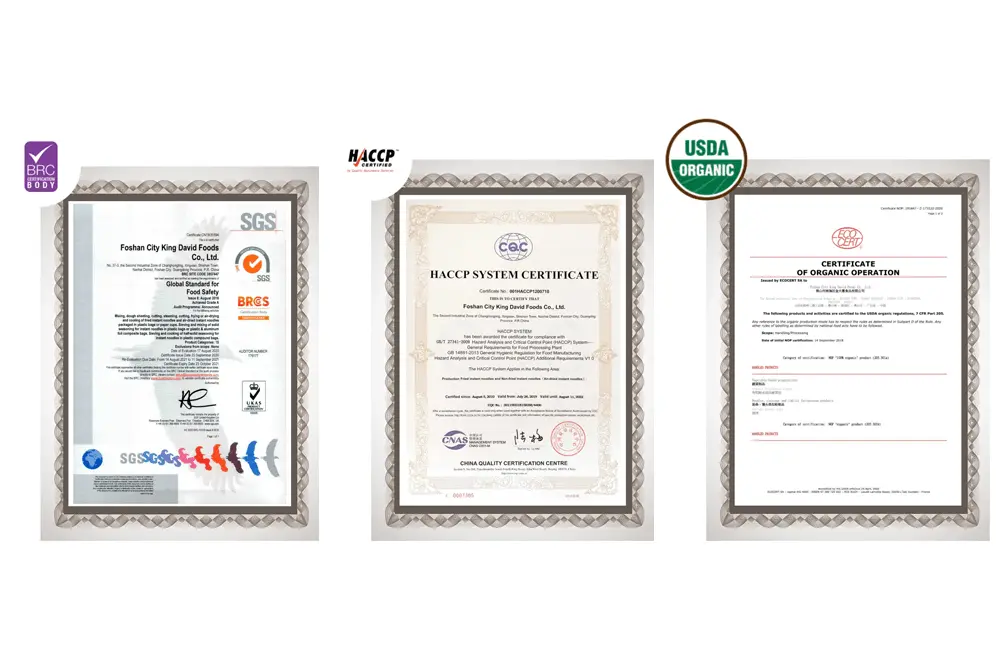 Horseradish, rose hip, kiwi and parsley isolated on white background. Healing food collection. Immunity booster. Creative layout. Flat lay, top view. Design element. Vitamin C